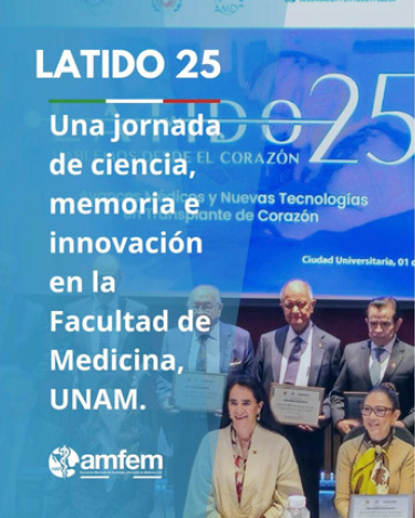 boletin 5 2025 02